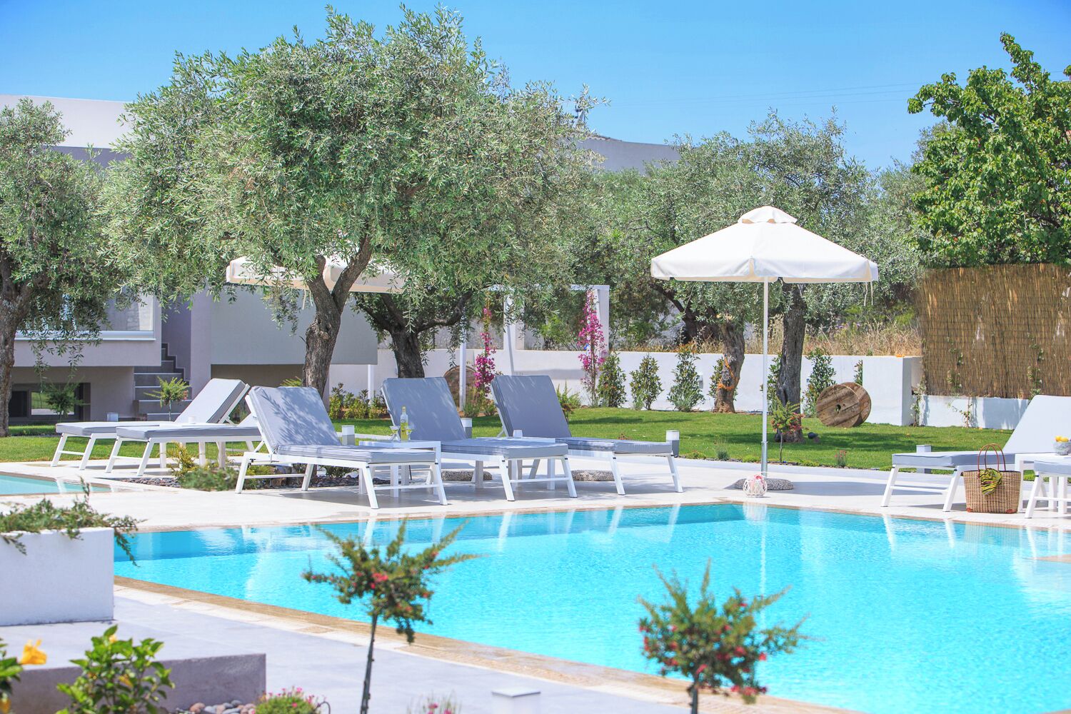 A pool area with lounge chairs and umbrellas, surrounded by trees and a modern building in the background.