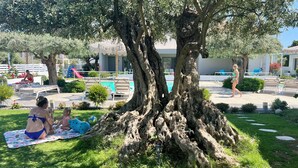 A tree-lined outdoor area with a pool, lounge chairs, and a small garden. - OLIVIA RESORT (Thasos)