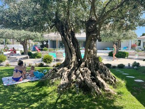 Children's area