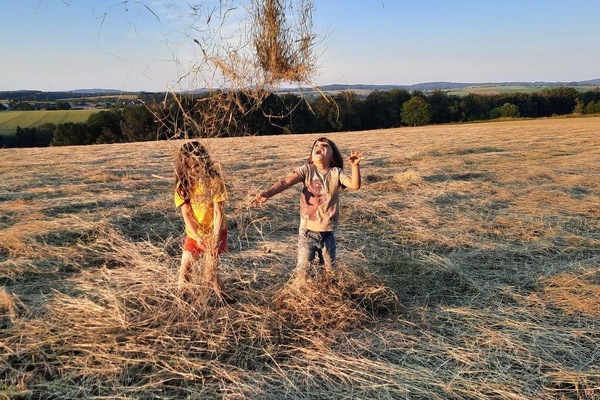 Ferienwohnung "Blauregen"