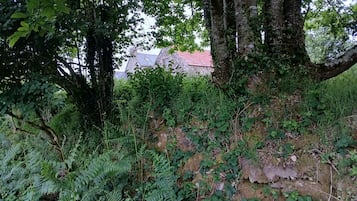 Overnatningsstedets område