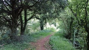 Miscellaneous - Guest Room “Chambre Calendula Pleine Nature” with Shared Garden and Wi-Fi (Plougonven)