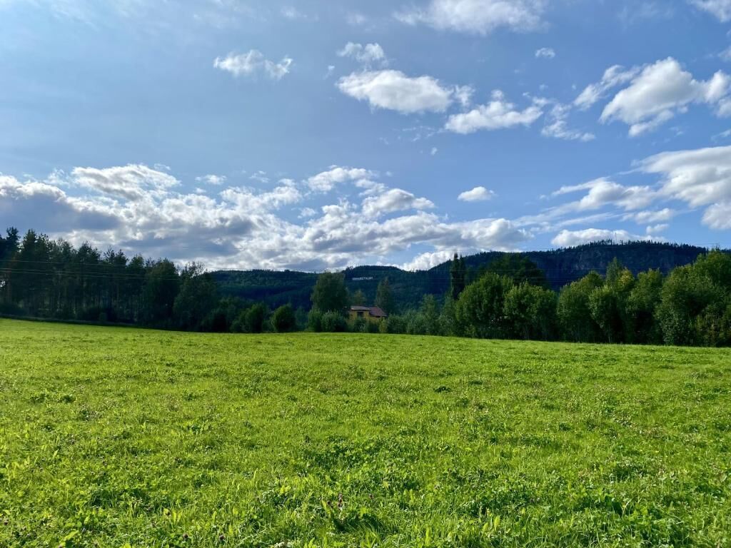 A grassy field with a clear sky and distant hills.