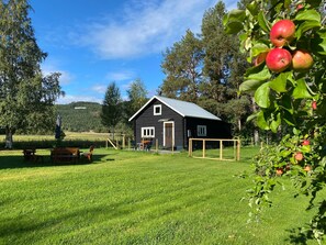 A black wooden house with a metal roof, surrounded by a grassy field and trees.