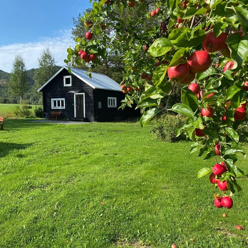 Villa Ragunda: Peace, space and Swedish adventure in the heart of Jämtland.