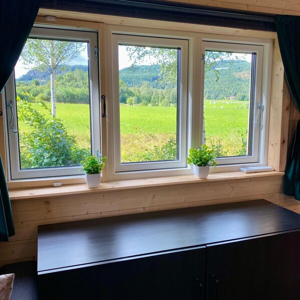 A room with three windows, each with a view of a green field and trees. There are two potted plants on the windowsill.