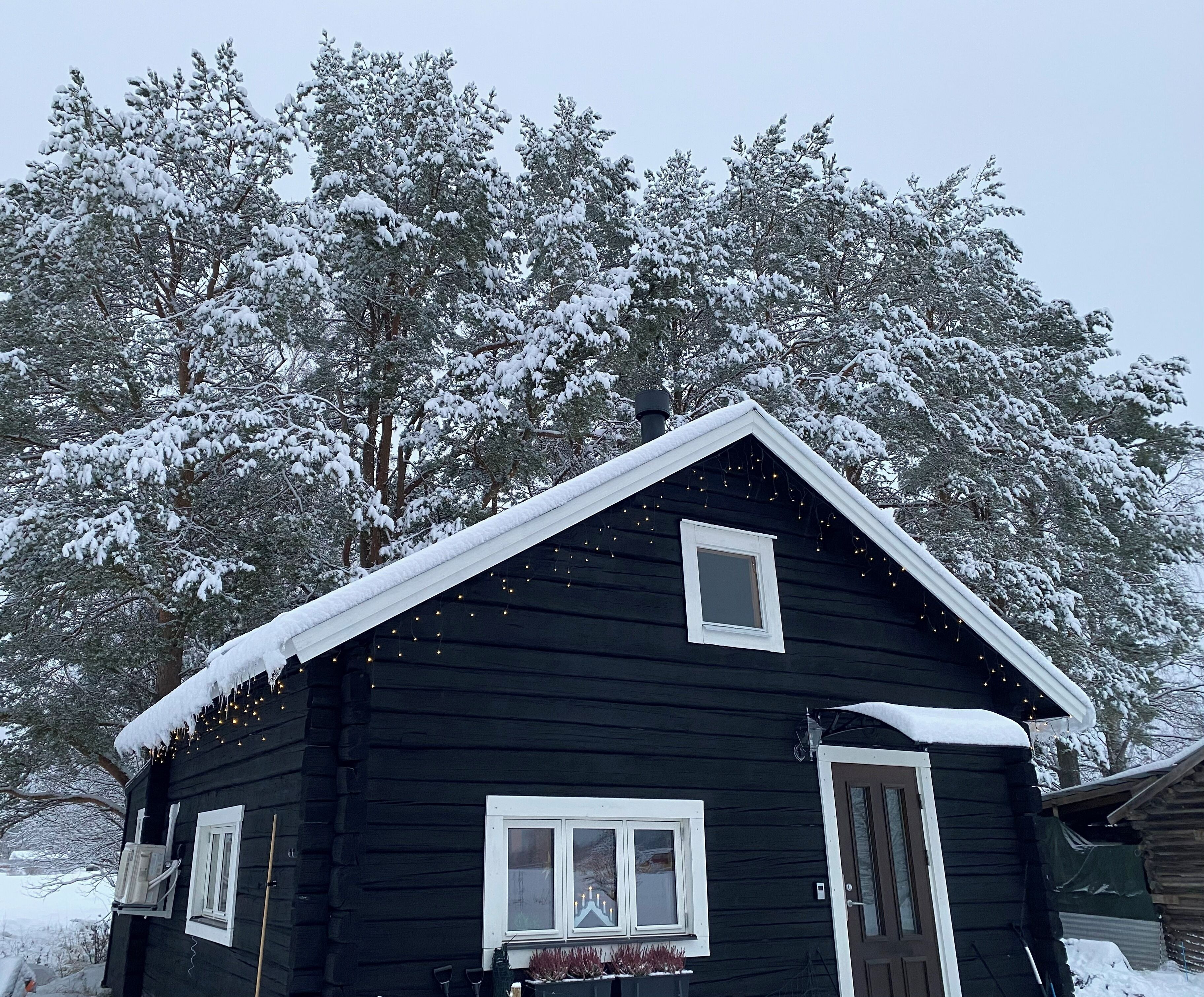 Eksteriør