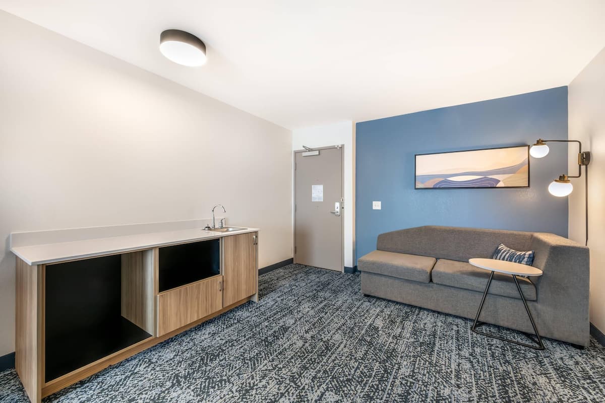 Suite, 1 King Bed with Sofa bed, Accessible, Non Smoking (Efficiency)