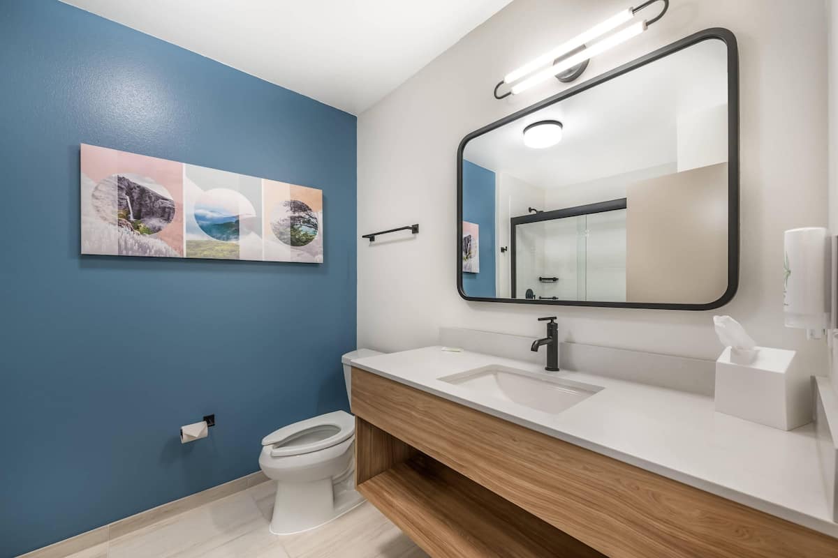 Suite, 1 King Bed with Sofa bed, Non Smoking