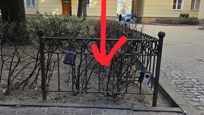 A paved area with a metal fence, a tree, and a building with multiple windows in the background. - New World Apartament (Warsaw)