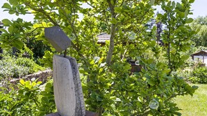 Ein Garten mit einer Steinskulptur, üppigem Grün und einem Haus im Hintergrund.