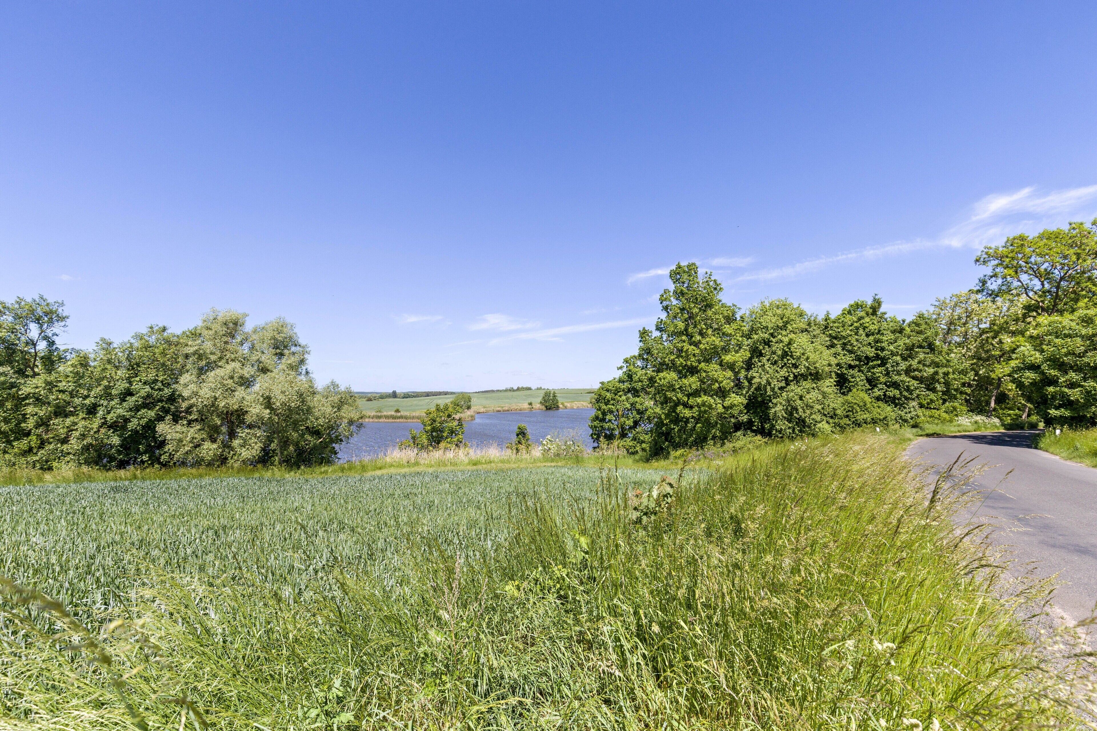 Een landelijk landschap met een weg, velden, bomen en een waterpartij.