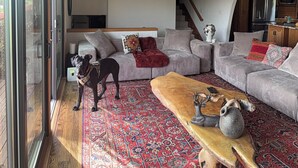 Un salon avec un chien, un canapé, une table basse et un coin cuisine visible à travers une porte ouverte.