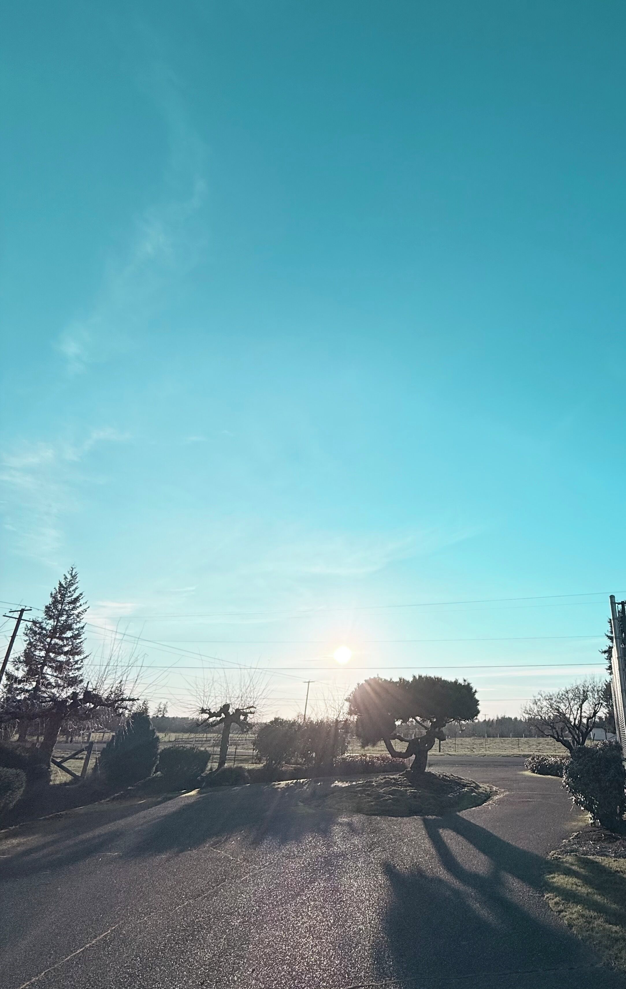 A rural road with a clear sky and the sun setting or rising. There are trees and power lines visible.