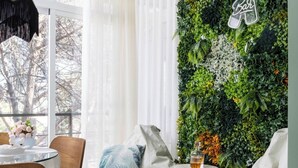 A modern living room with a green wall, white furniture, and a glass table.