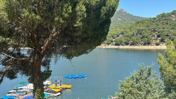 A serene lakeside setting with a dock area featuring several boats and a large tree providing shade.