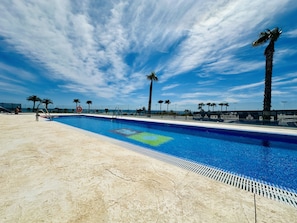 Ein Schwimmbecken mit blauem Himmel und Palmen im Hintergrund.
