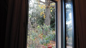 Ein Fenster mit Vorhängen, Blick auf einen Baum und Pflanzen draußen.
