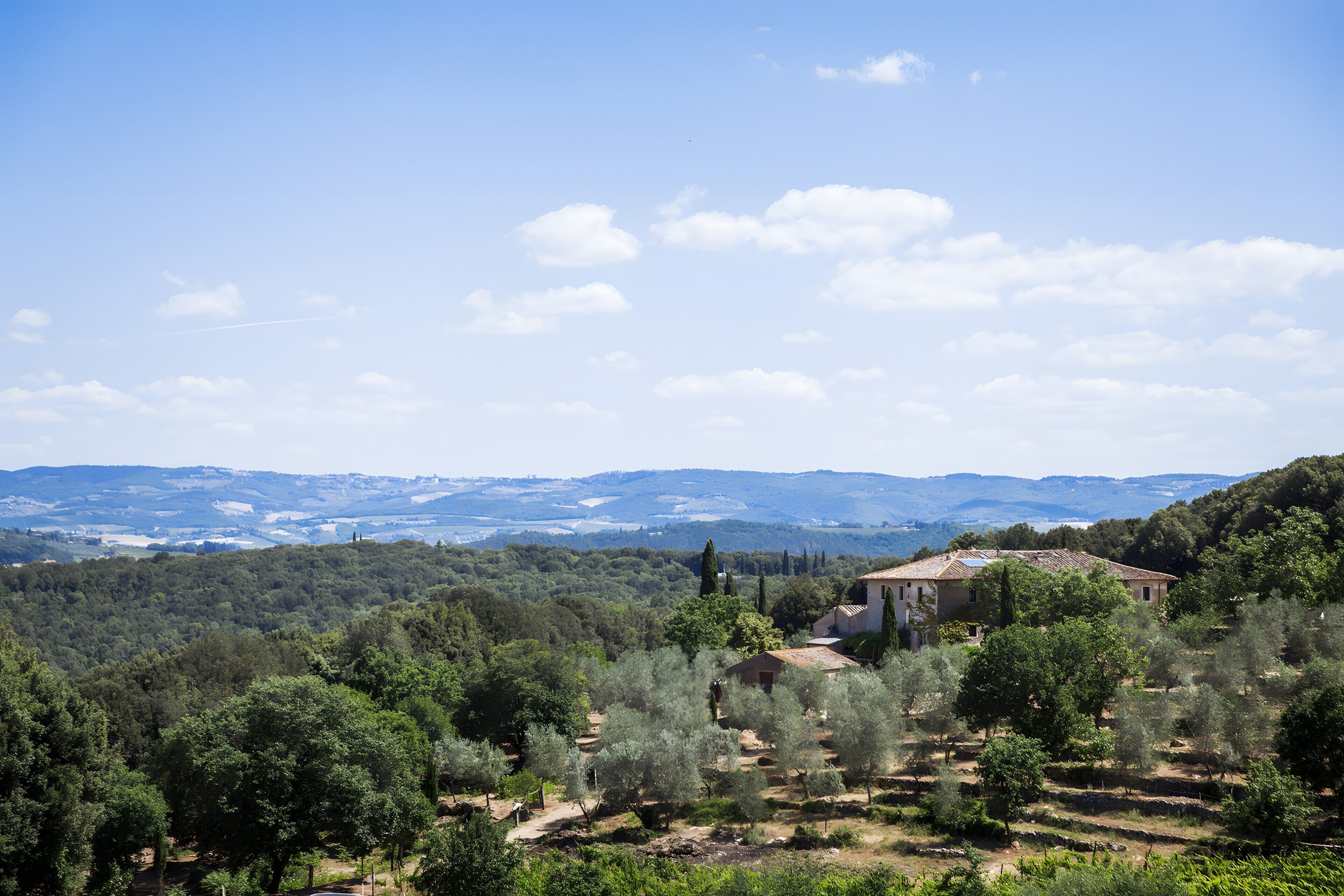 A rural landscape with a house surrounded by olive trees and a hilly backdrop.
