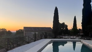 Une piscine rectangulaire aux bords nets, entourée d’un petit muret en pierre et d’une clôture métallique.