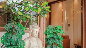 Een Boeddhabeeld met twee potplanten op een stenen rand, een glazen deur en een modern interieur met een kroonluchter.