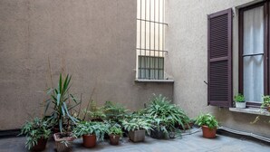 Une cour avec des plantes en pot et une fenêtre ornée de volets bruns.