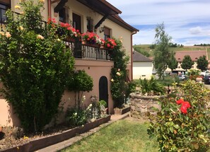 Detalle exterior