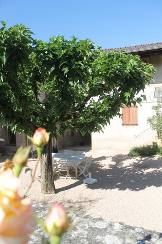 Gîte Fleurs de Gamay, au coeur du Beaujolais. Animaux acceptés