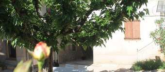 Gîte Fleurs de Gamay, in the heart of the Beaujolais region. Pets allowed