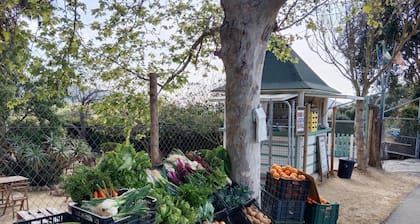 Casa Rural El Cubillo in Santa LucĂa, Vejer de la Frontera