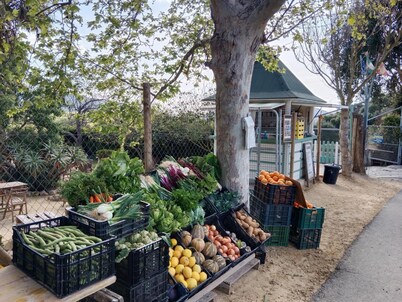 Casa Rural El Cubillo in Santa Lucía, Vejer de la Frontera