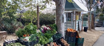 Casa Rural El Cubillo in Santa Lucía, Vejer de la Frontera