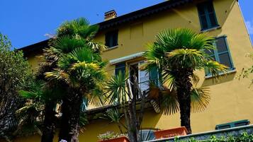 Detalle exterior