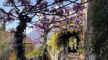 Parco della struttura