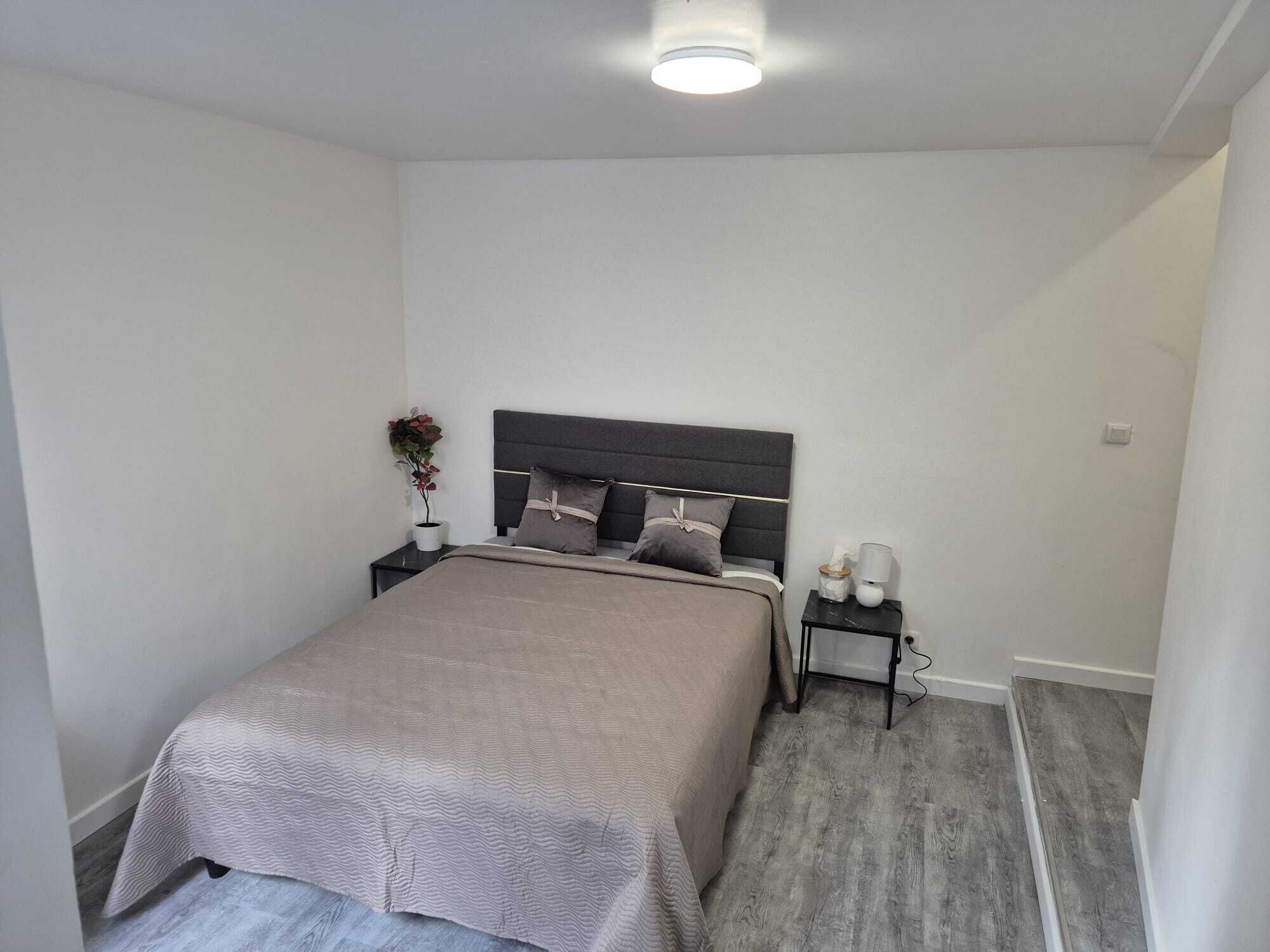 Een slaapkamer met een bed, nachtkastjes, een lamp en een potplant.