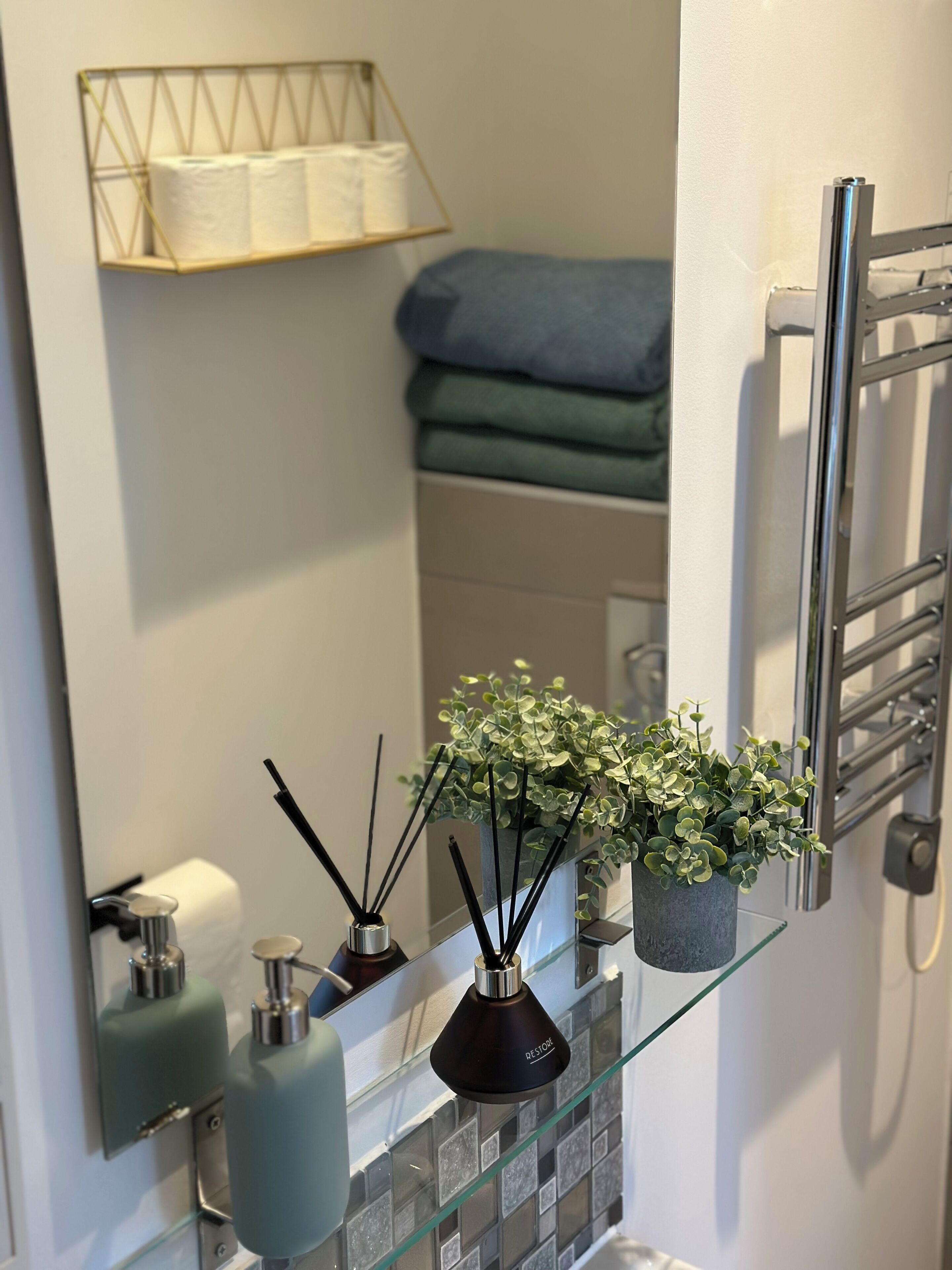 Un baño con un estante de vidrio que sostiene una planta en maceta, dos botellas de jabón líquido y un difusor negro. También se ve un perchero y un espejo.