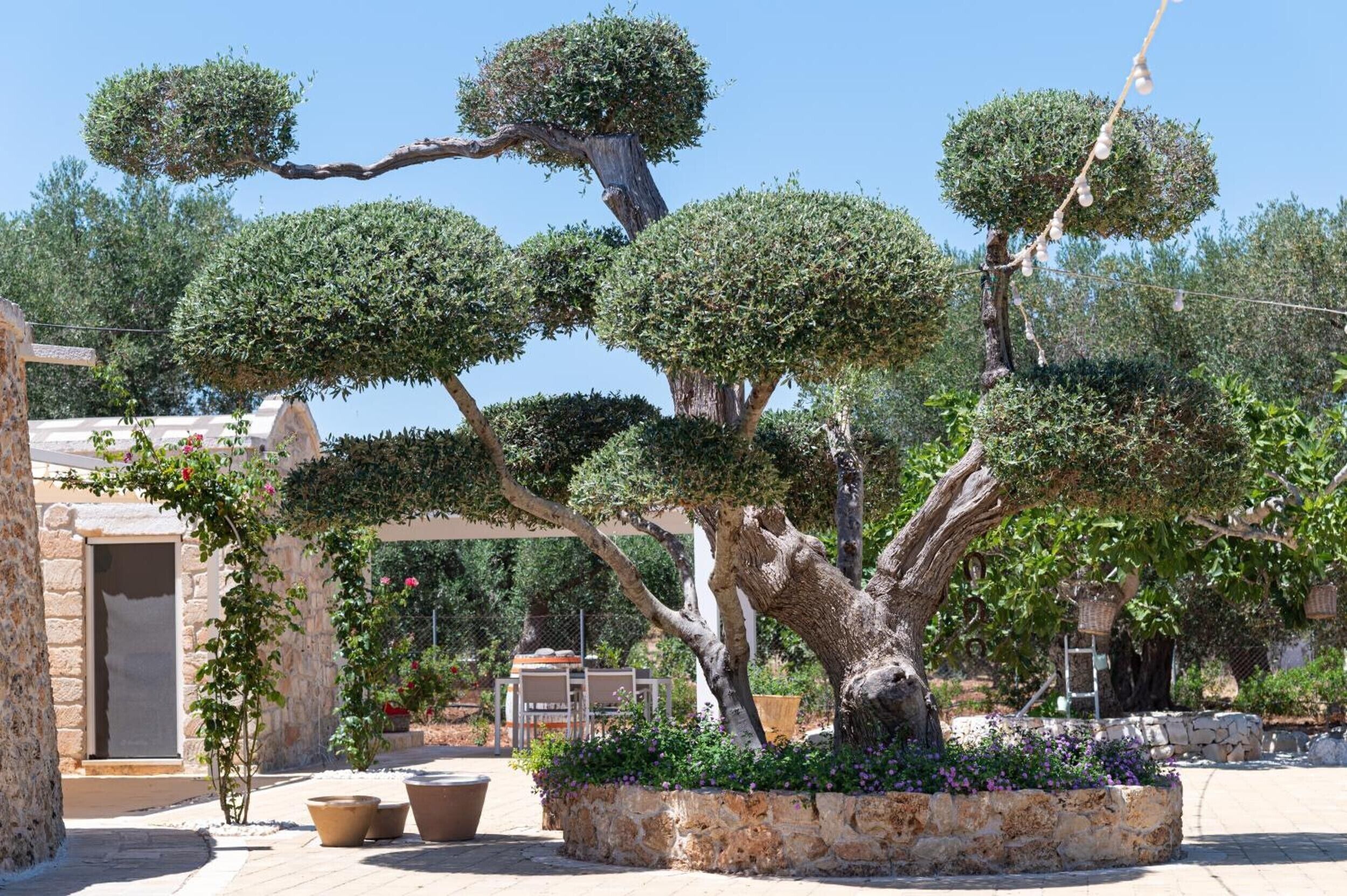 Àrea exterior de l'allotjament