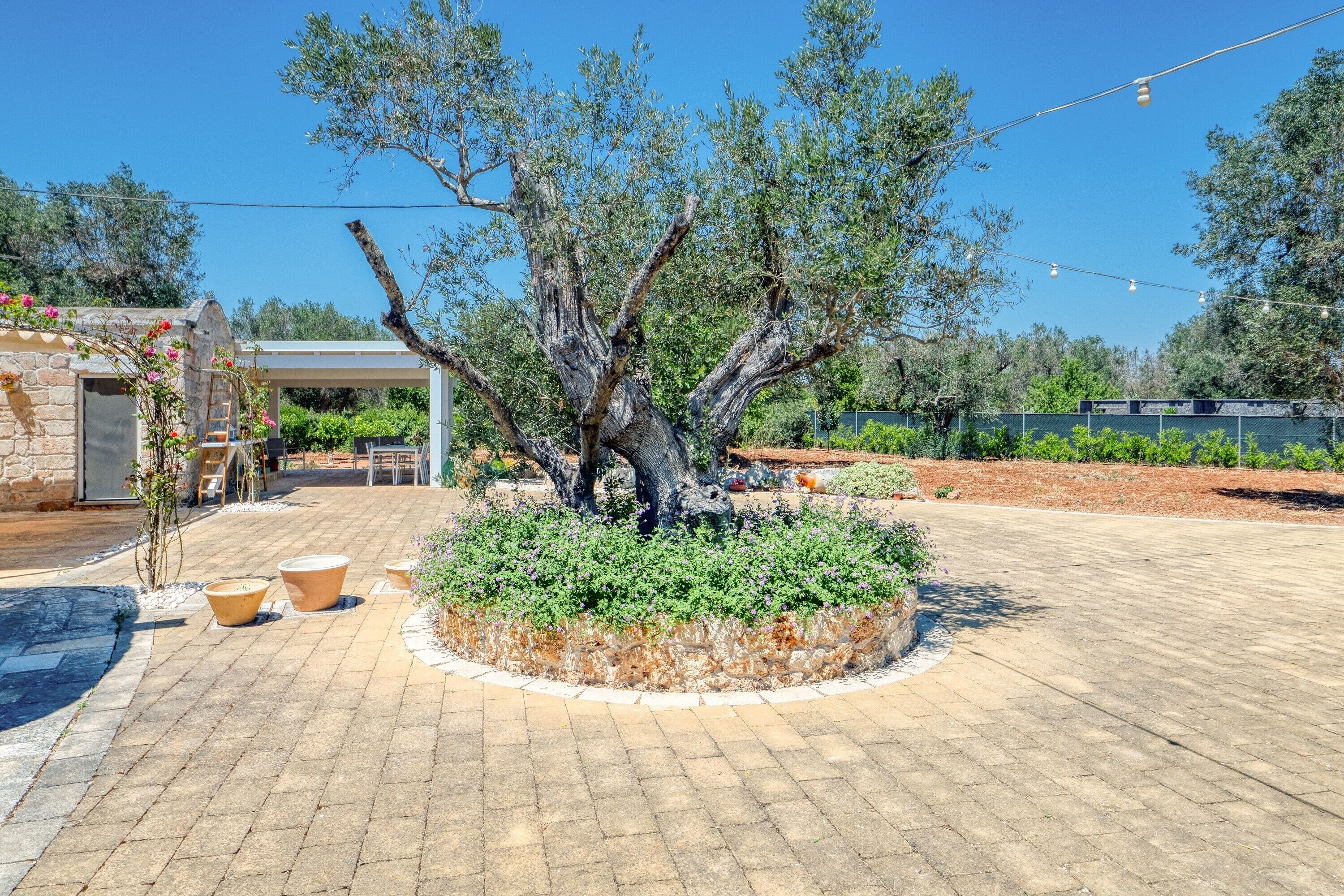 Une cour dallée avec un grand arbre, des murs en pierre et des sièges extérieurs.