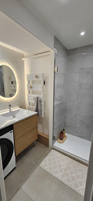 Hair dryer, towels, soap, toilet paper - 3-bedroom apartment, city center, renovated (Dijon)