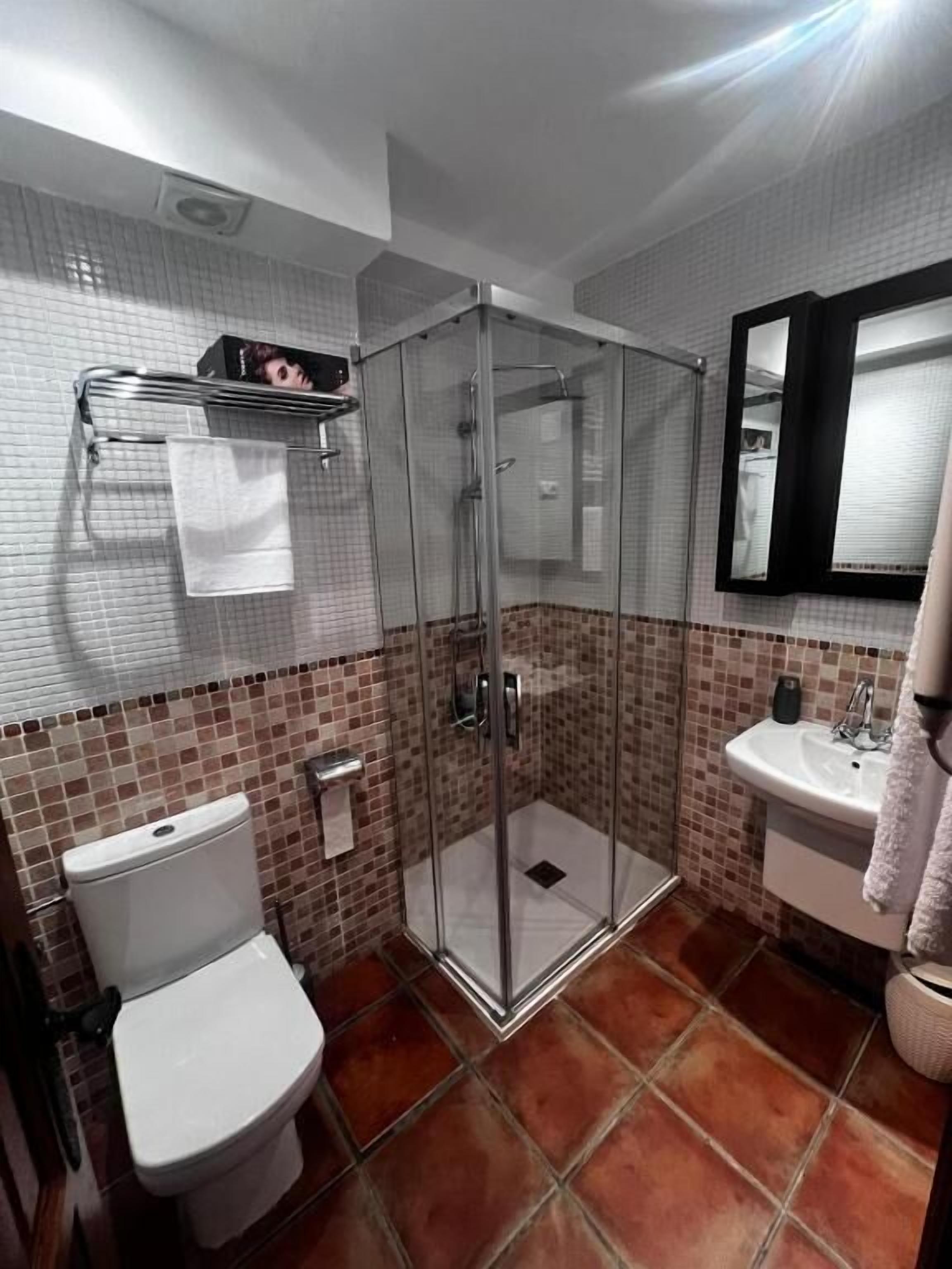 A bathroom with a glass-enclosed shower, a white toilet, a sink, and a mirror.