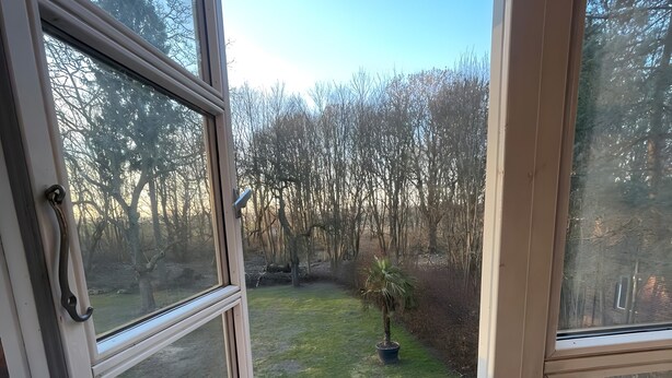 Vista a través de una ventana abierta que da a un jardín con césped, una planta en maceta y árboles.