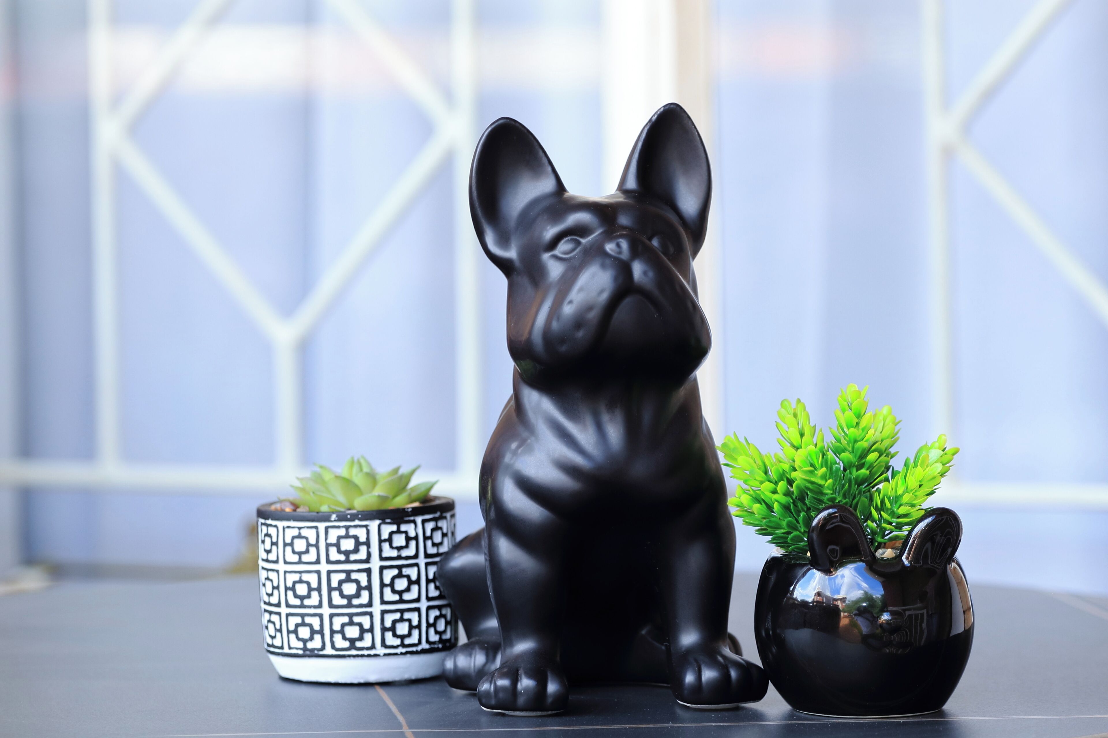 Une statuette de chien noir, une plante en pot aux motifs décoratifs et un pot noir contenant une plante verte.