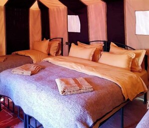 Unclassified image, 4 of 6, button - Majestic Luxury Tented  (Merzouga)