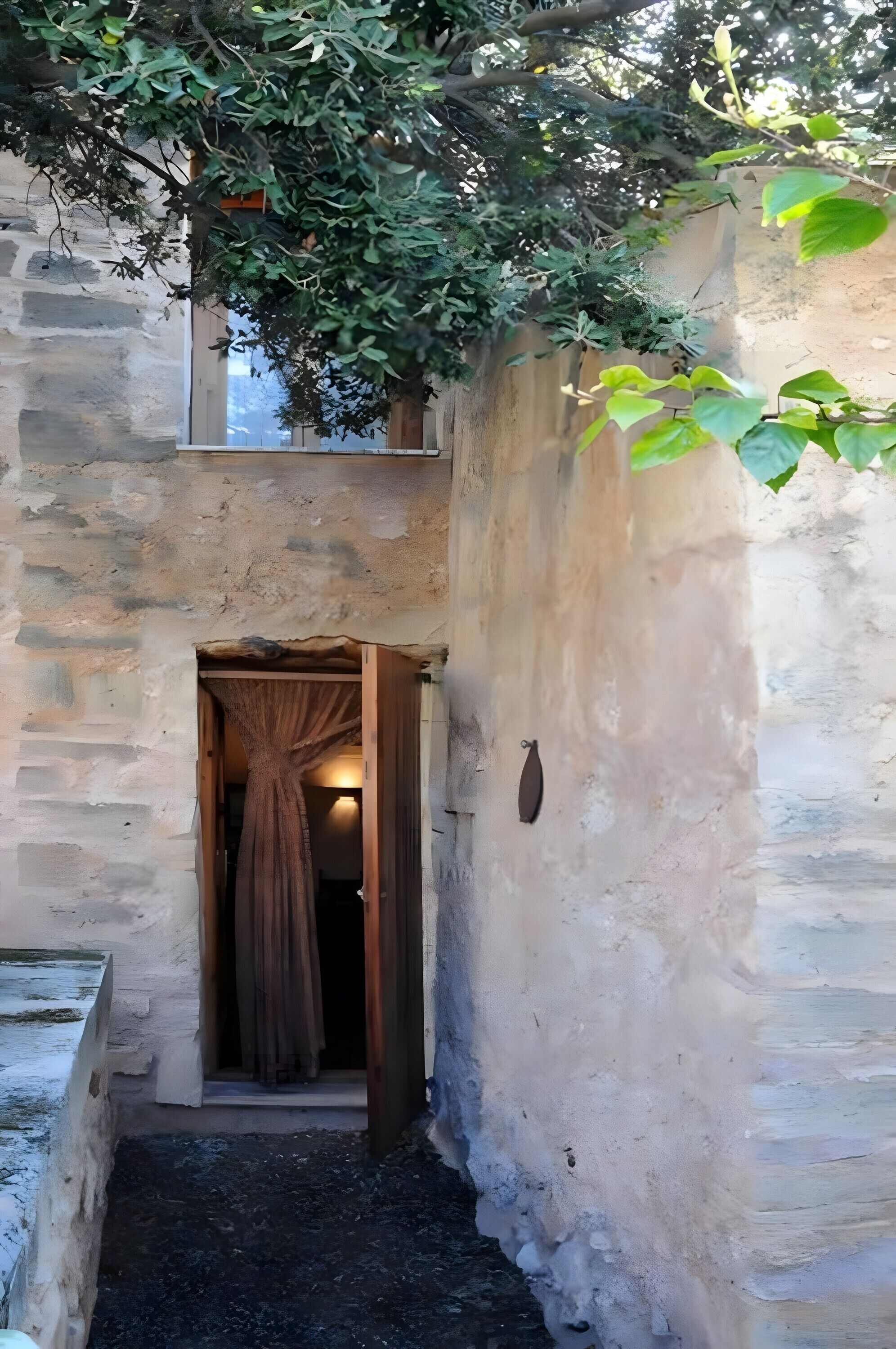 Detalle del exterior