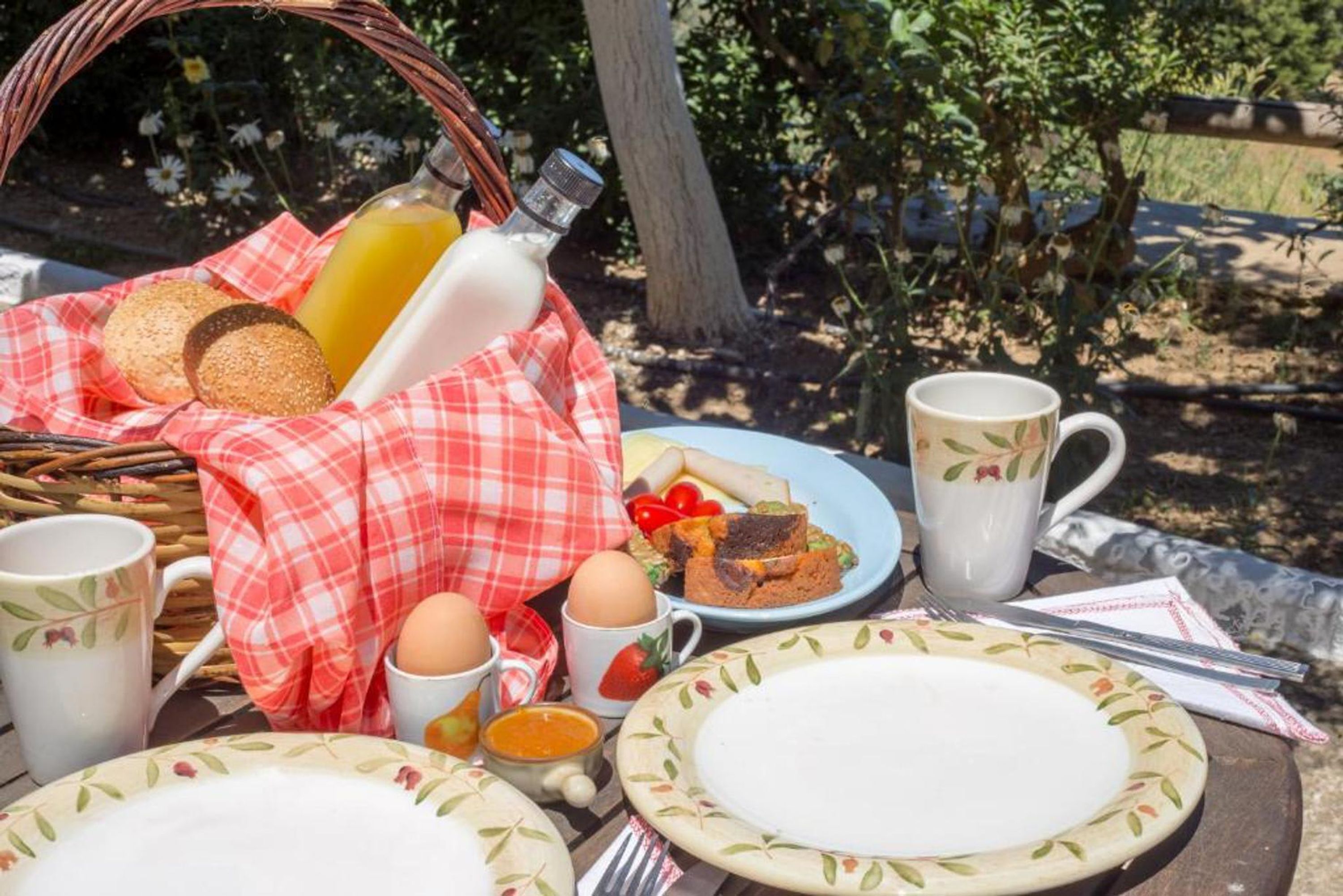 A breakfast setup with bread, eggs, and a bottle of juice on a picnic table.