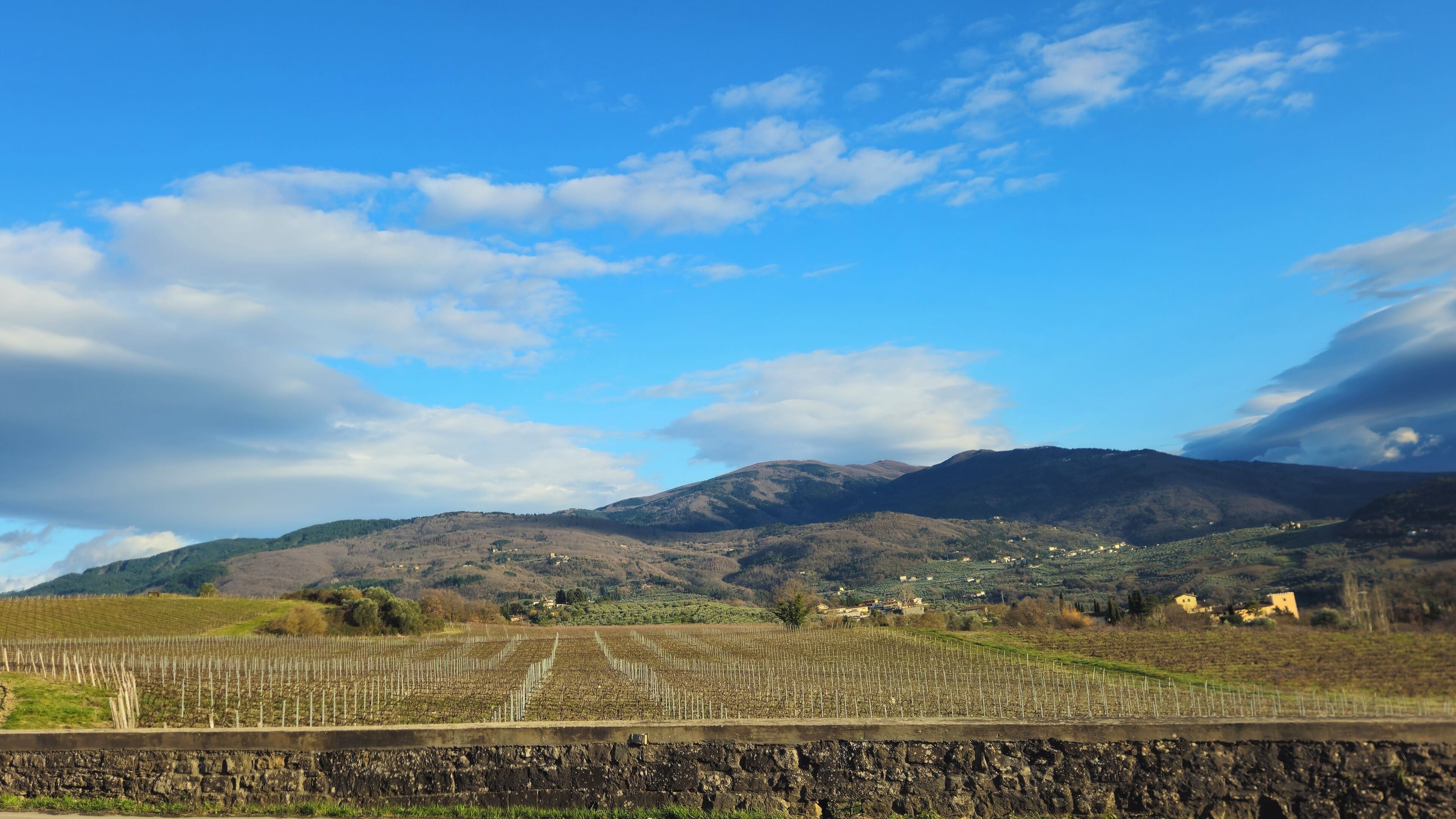 Ein Weinberg mit Rebenreihen, eine Steinmauer im Vordergrund und ein Gebirge im Hintergrund.
