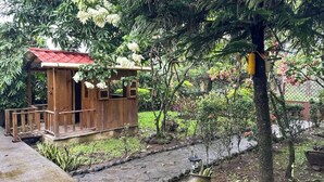 Une structure en bois surmontée d’un toit rouge, entourée d’un jardin où poussent différentes espèces de plantes et bordée d’un chemin en pierre.