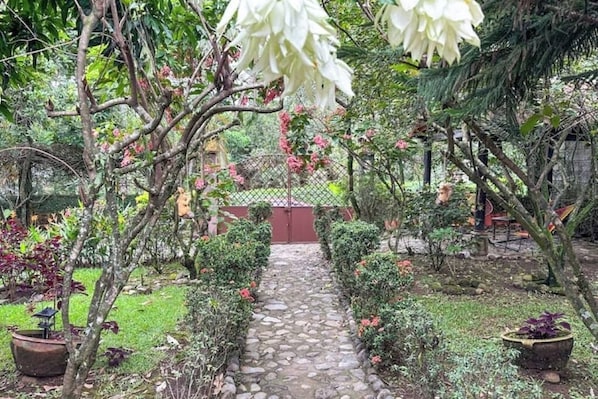 A garden pathway with a stone surface, surrounded by various plants and trees.