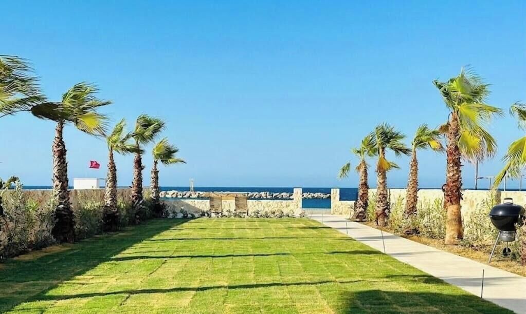 A well-maintained lawn with palm trees, a pathway, and a barbecue grill.