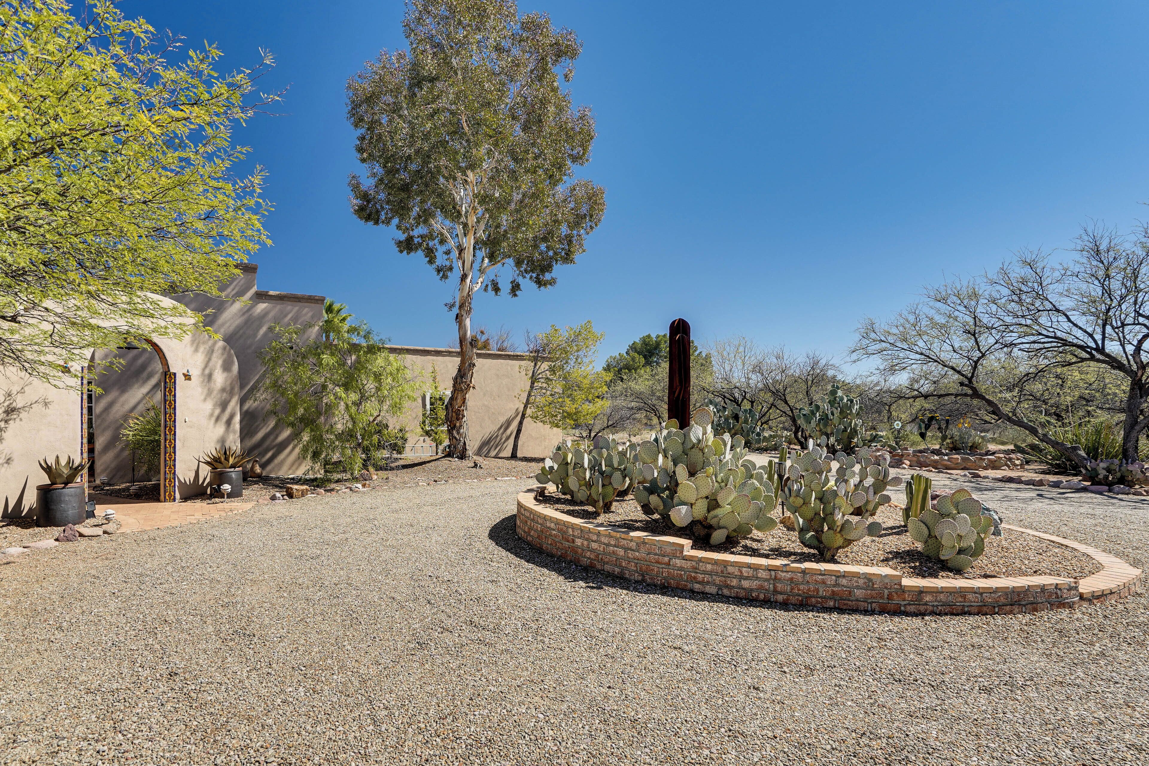 A desert landscape with a building, cacti, and a tree.
